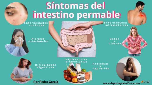 Qu Es El Intestino Permeable C Mo Detectarlo Y C Mo Curarlo