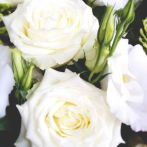 Order White Elegance Flowers Online | Perth City Florist