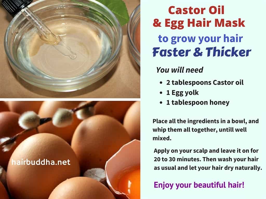 Top 5 Egg Hair Mask Recipes for SuperFast Hair Growth  beautymunsta   free natural beauty hacks and more