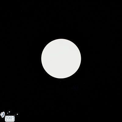 Image 1001 Patère Patere ronde polyresine blanc mat WENKO dans le site N°1 de patère et porte-manteaux de france