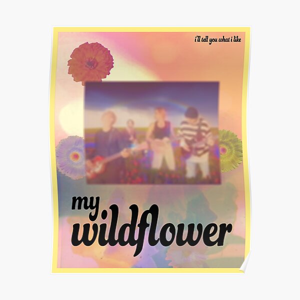 5 Seconds of Summer "Wildflower" song graphic Poster RB1512 product Offical 5sos Merch