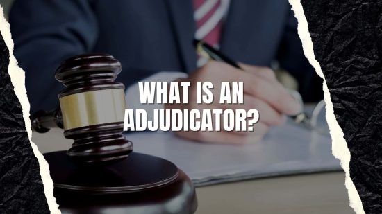 What Is an Adjudicator? - Constitution of the United States Store