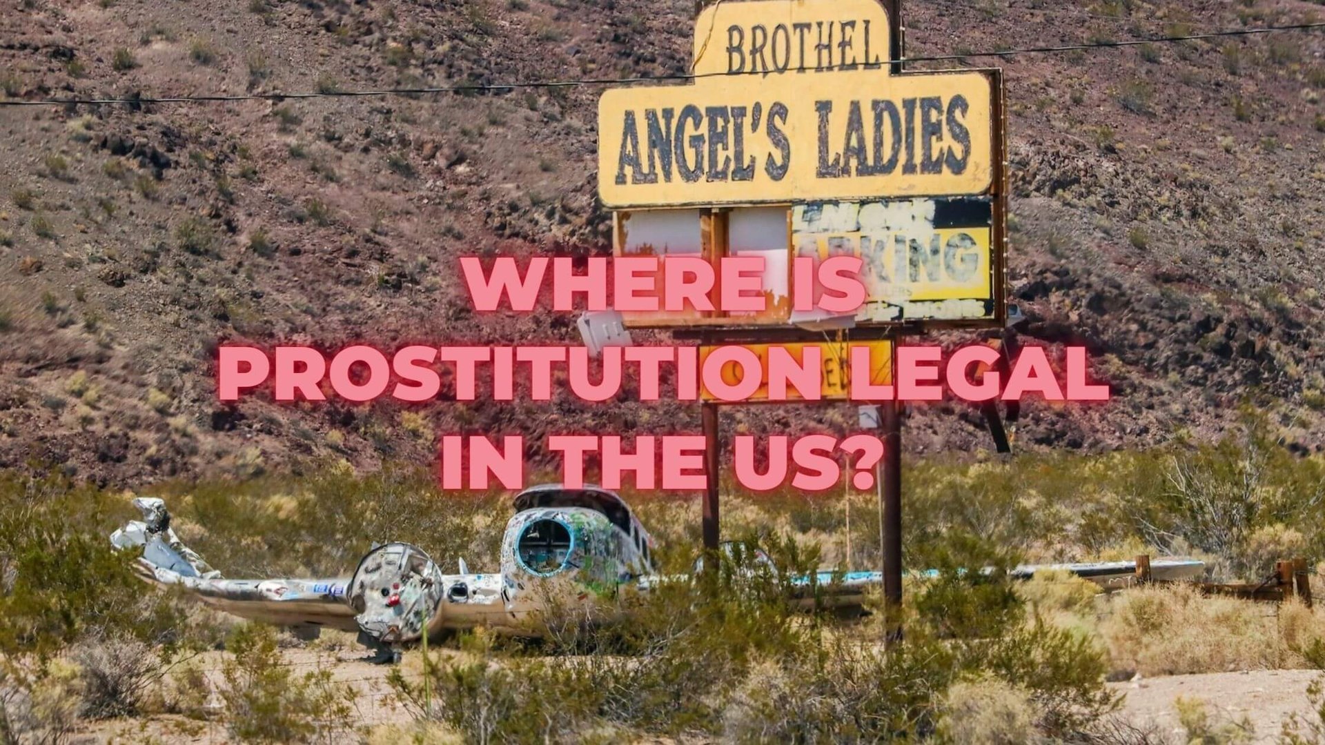 Alicia Reynolds Author And Editor   Where Is Prostitution Legal In The US 