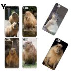 Animal Funny Capybara Bling Cute Phone Case for iphone 13 12 8 7 6 6S Plus 1 - Capybara Plush