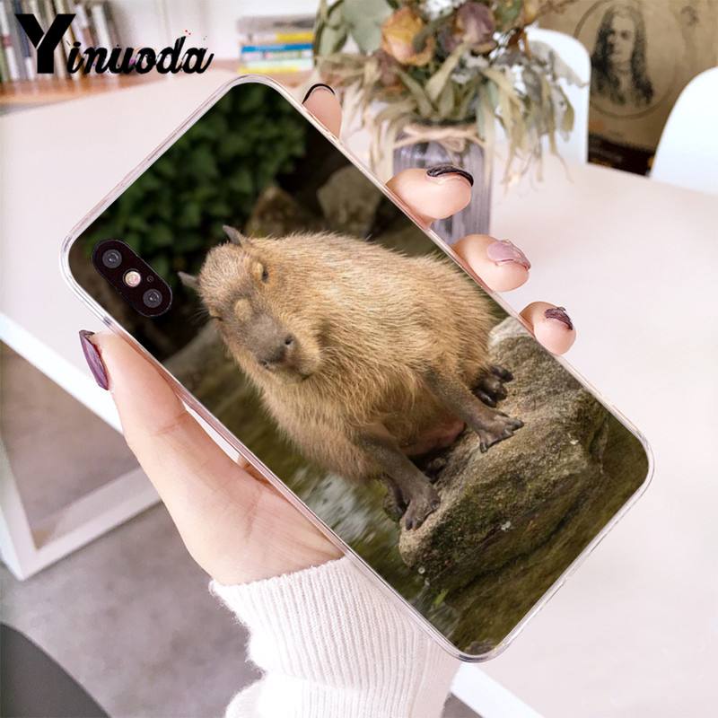 Animal Funny Capybara Bling Cute Phone Case for iphone 13 12 8 7 6 6S Plus 3 - Capybara Plush