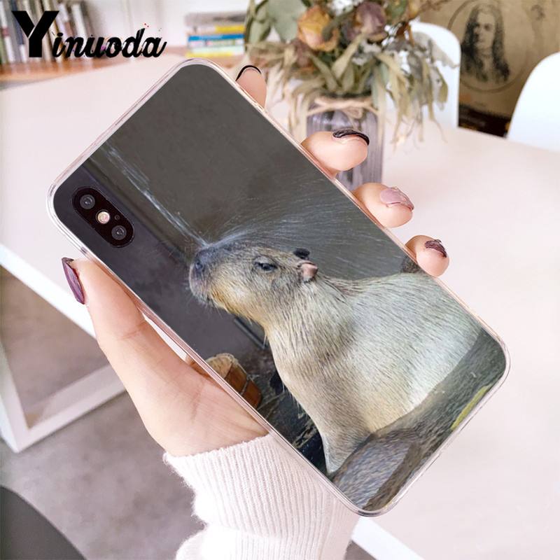 Animal Funny Capybara Bling Cute Phone Case for iphone 13 12 8 7 6 6S Plus 4 - Capybara Plush