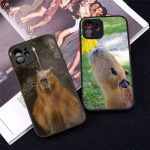 Capybara lovely animal Phone Case matte transparent For iphone 14 11 12 13 mini x xs 1 - Capybara Plush