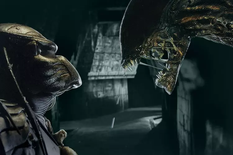 7 Spine Tingling Predator Movies In Order 5 alien vs predator