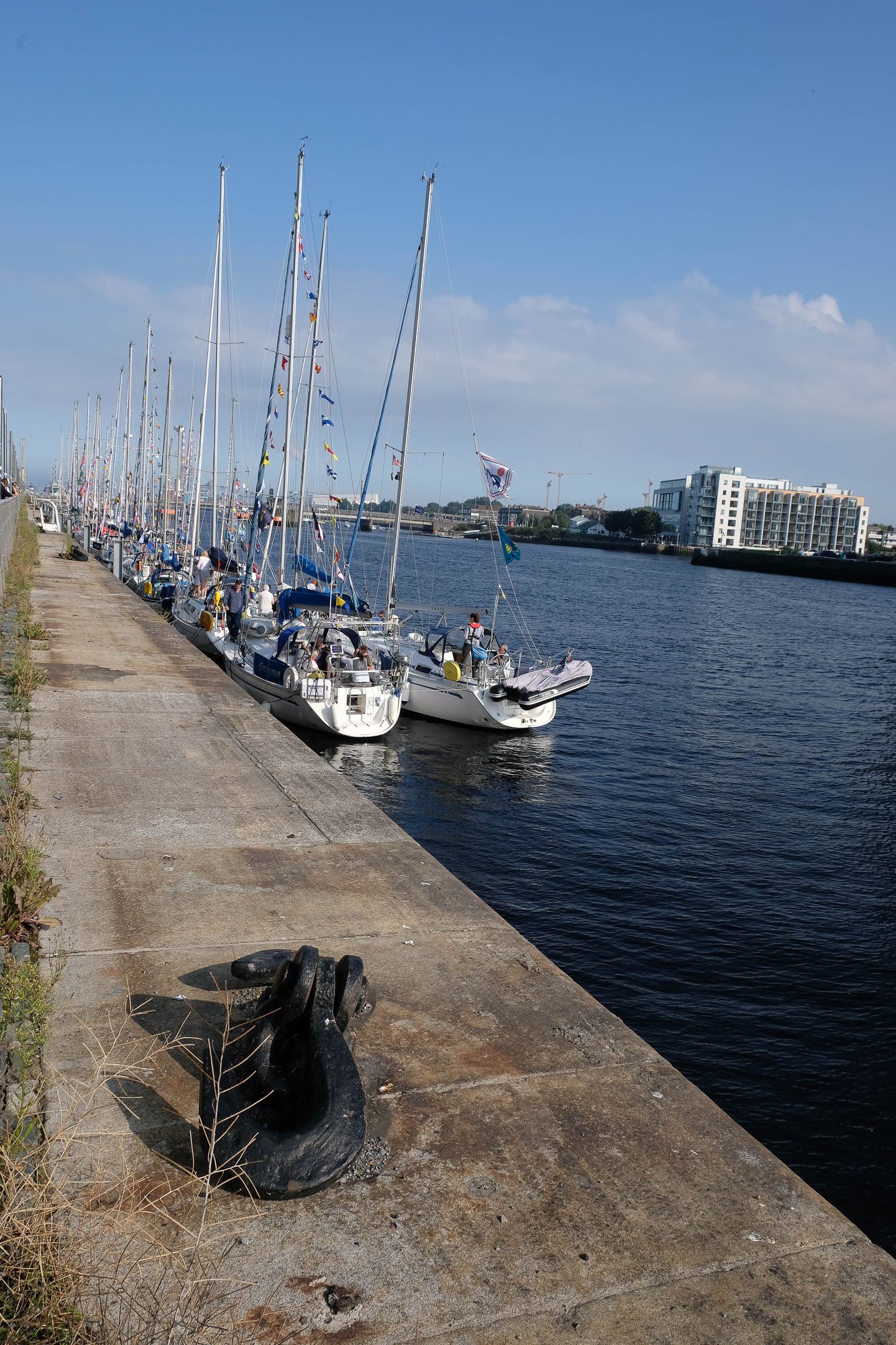 img-650