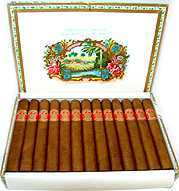Saint Luis Rey Petit Coronas Cuban Cigars 179 011