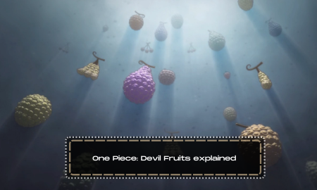 One Piece: Devil Fruits explained