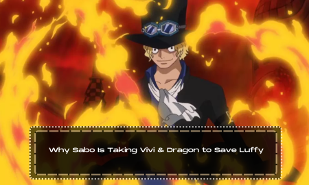 Why Sabo Is Taking Vivi & Dragon to Save Luffy