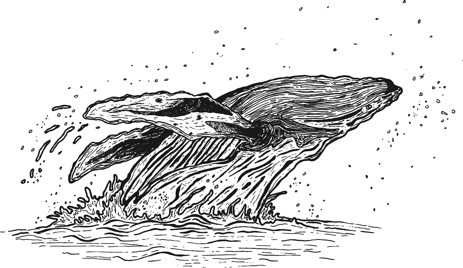 img-2