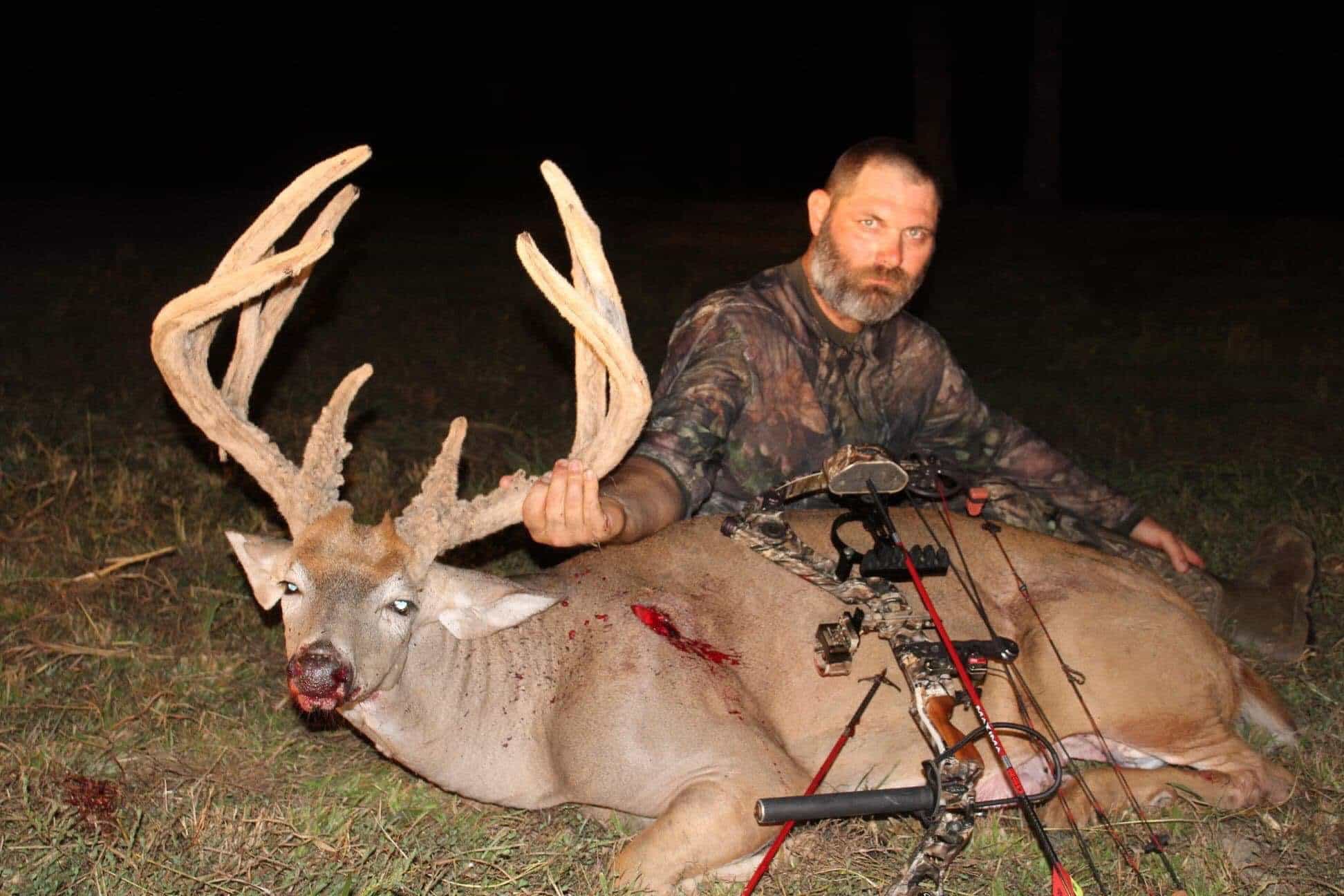 Picture of a Big Whitetail Buck in Velvet