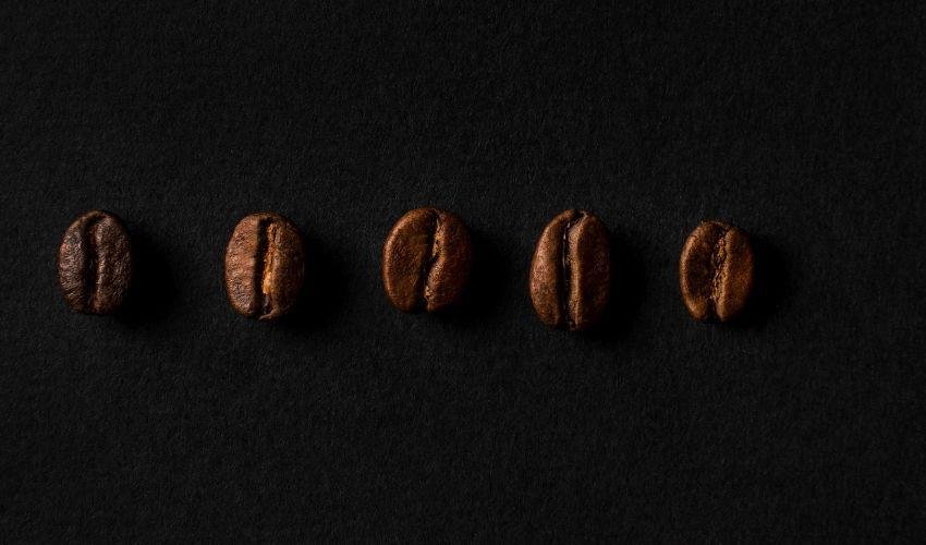 arabica roast