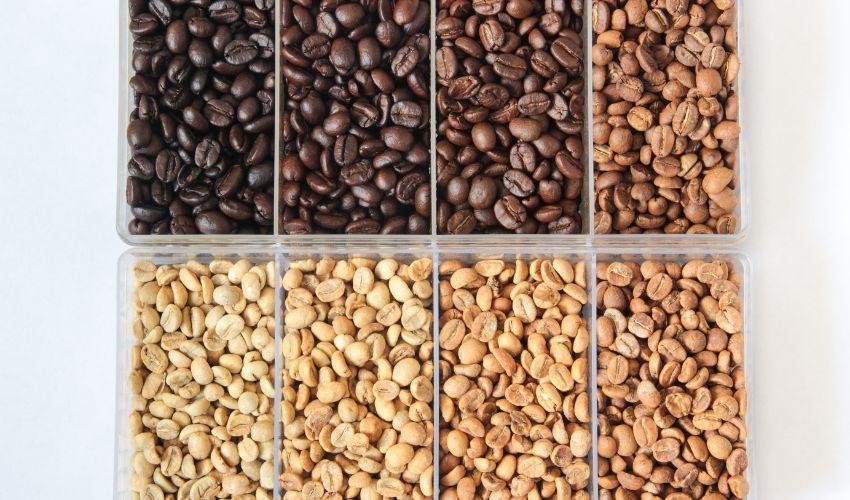 coffe Roast Levels