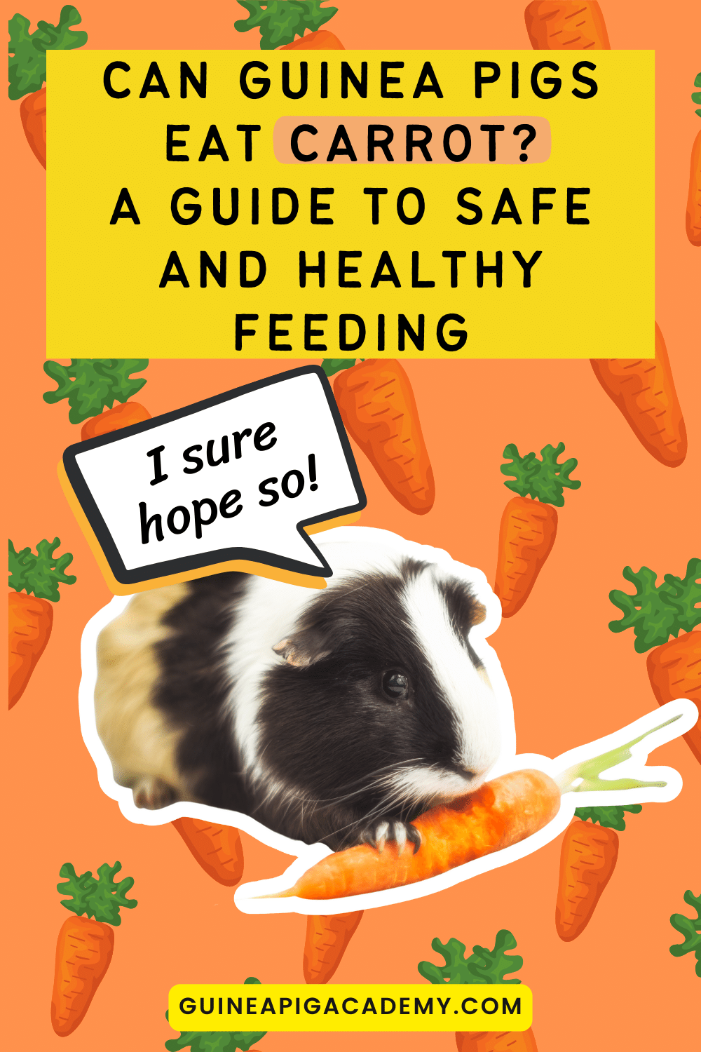 Can guinea pigs eat purple clearance carrots