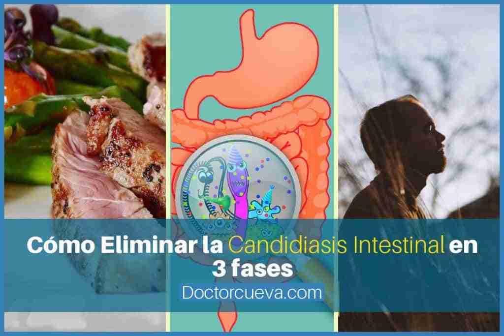 Cómo eliminar la candidiasis intestinal