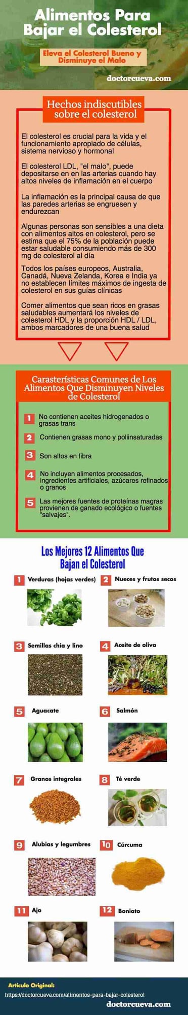 alimentos para bajar el colesterol infografia