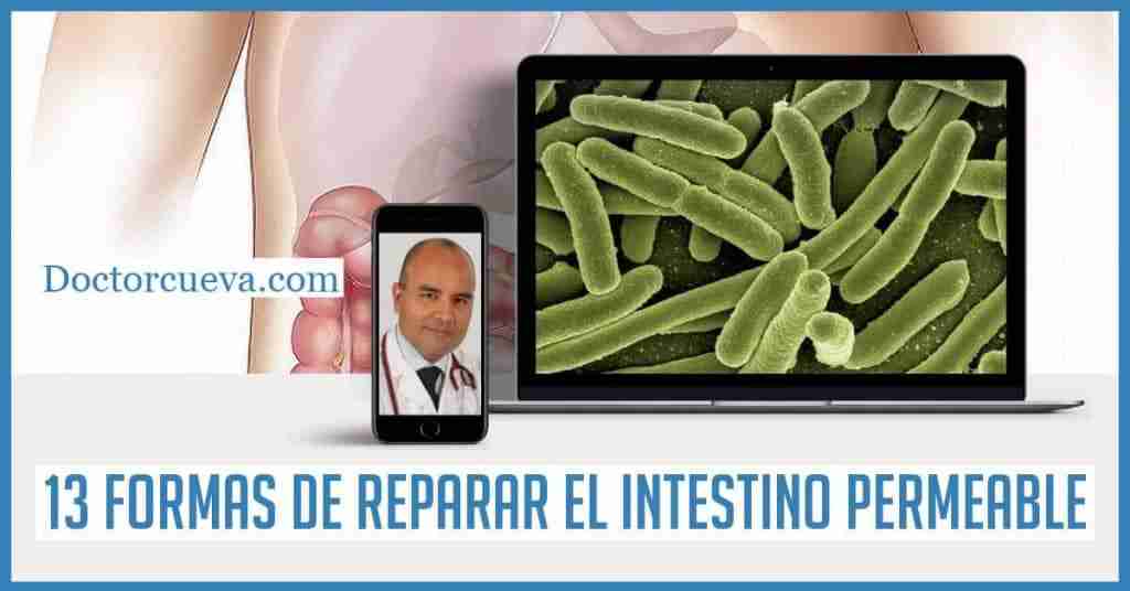 13 formas reparar intestino permeable