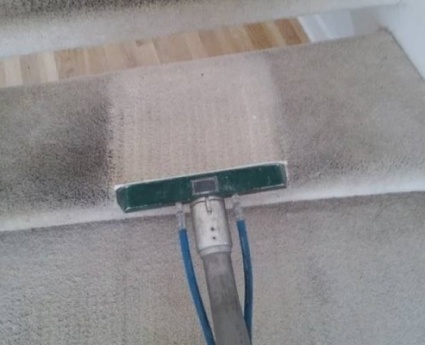 Carpet Cleaning services in Los Angles