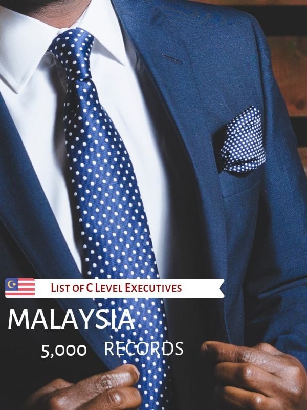 List of C Level Executives in Malaysia