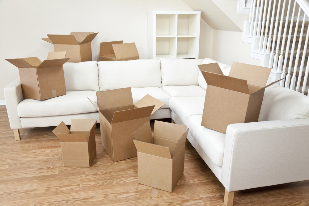 move in/out cleaning