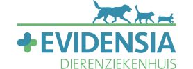 Logo_DZH_RGB-evidensiadierenziekenhuis