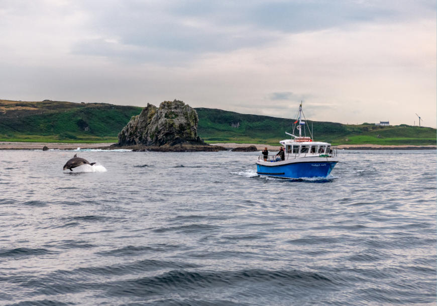 Ireland’s new Marine Protected Area legislation: the journey so far