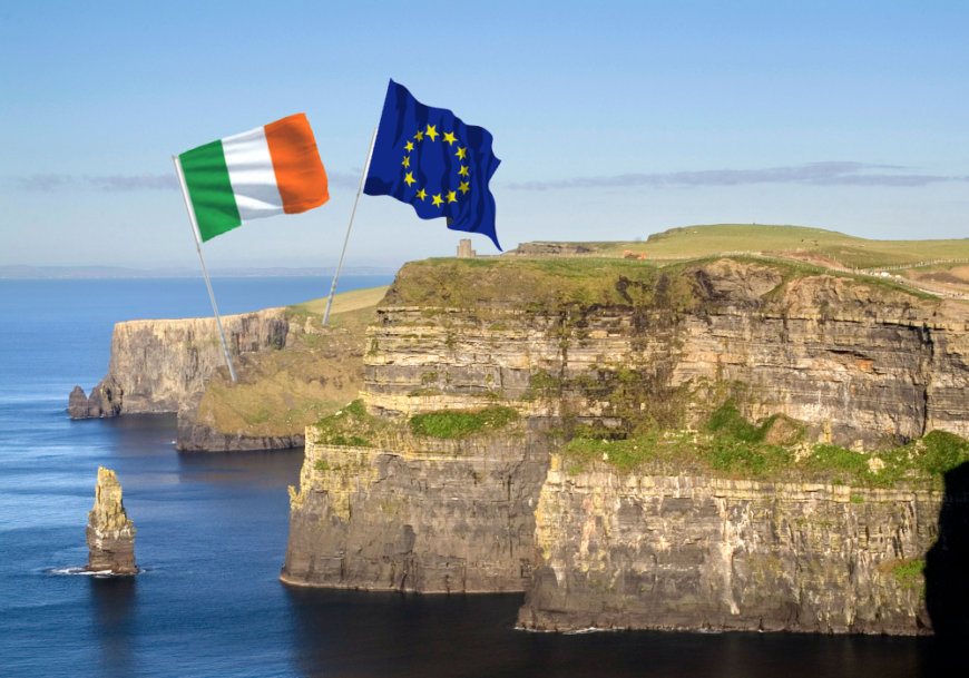 Ireland loses EU court case over failure to conserve nature