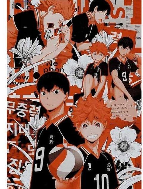 5 Official HAIKYU SHOP Merch