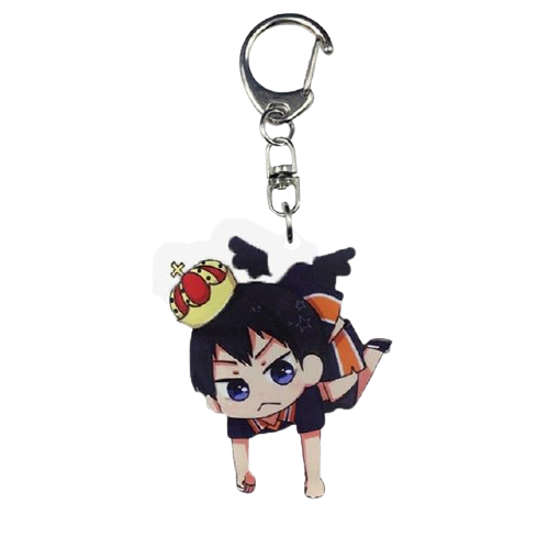 5 Official HAIKYU SHOP Merch