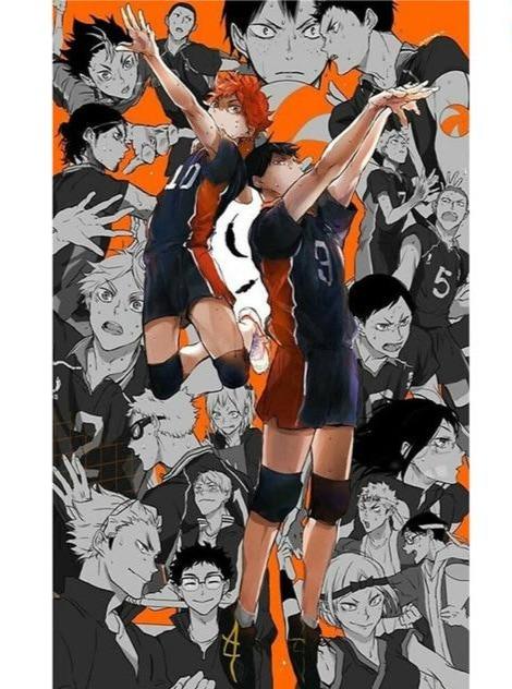 4 Official HAIKYU SHOP Merch
