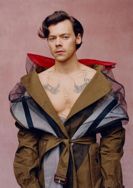 harry-styles-posters-red-carpet-outfit-vibes-harry-styles-poster