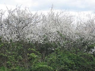 img-4