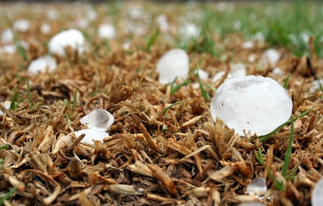 hail in grass
