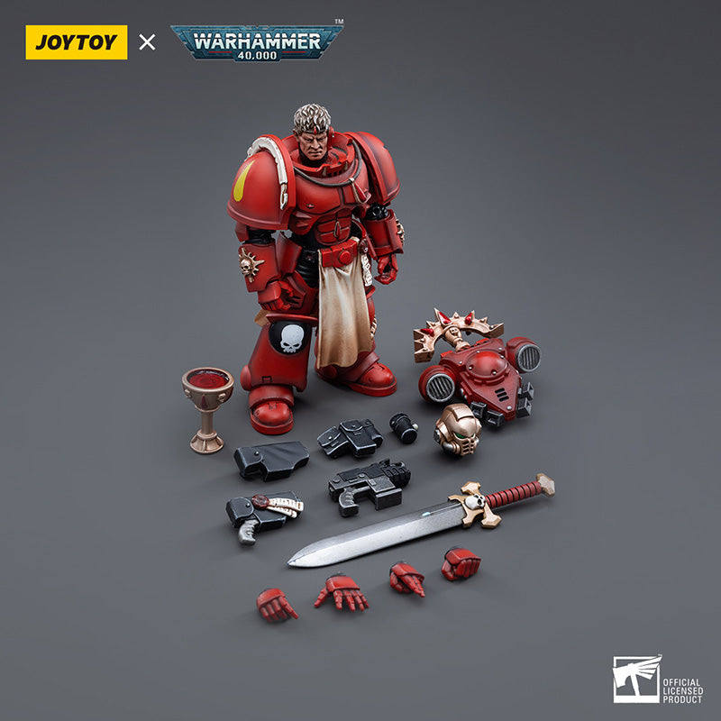 Warhammer40KBloodAngelsVeteranSalus5 - Joytoy Online
