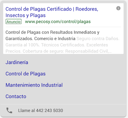 Google Adwords en español: captura de pantalla.