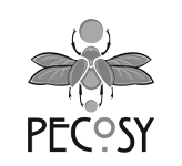Una imagen en blanco y negro de una mosca con alas para la agencia de marketing.