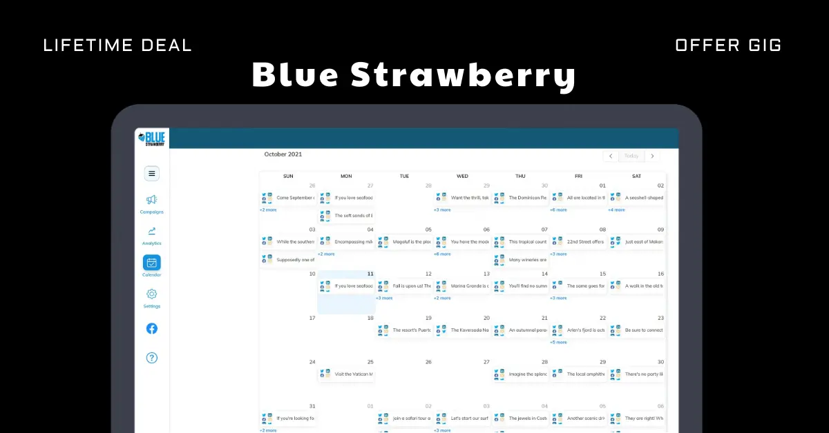 You are currently viewing Blue Strawberry Lifetime Deal | Social Media Management Tool