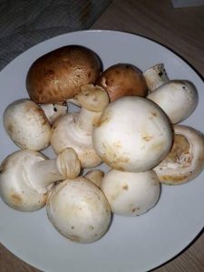 onion and red wine gravy recipe
