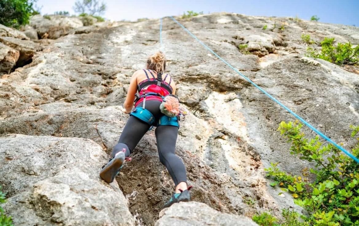 Best Climbing Harnesses of 2021 Muddy Hunting