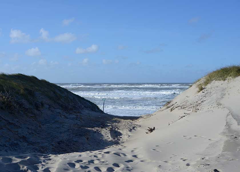 Havet har rejst sig på en blæsende dag, vejen til stranden gennem klitterne byder på meget vind og sandfygning