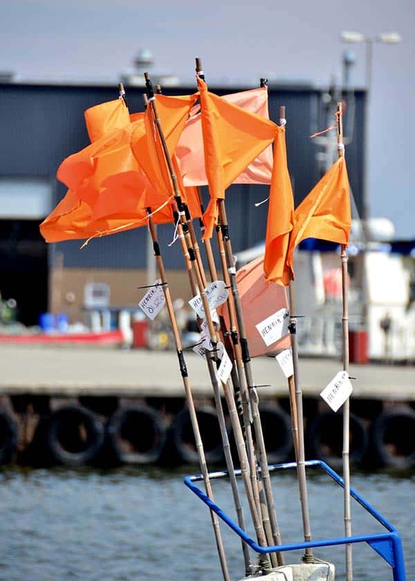 Fiskerens bøjer er klargjort til fiskeriet med de orange flag så han kan finde sine fiskegrejer igen