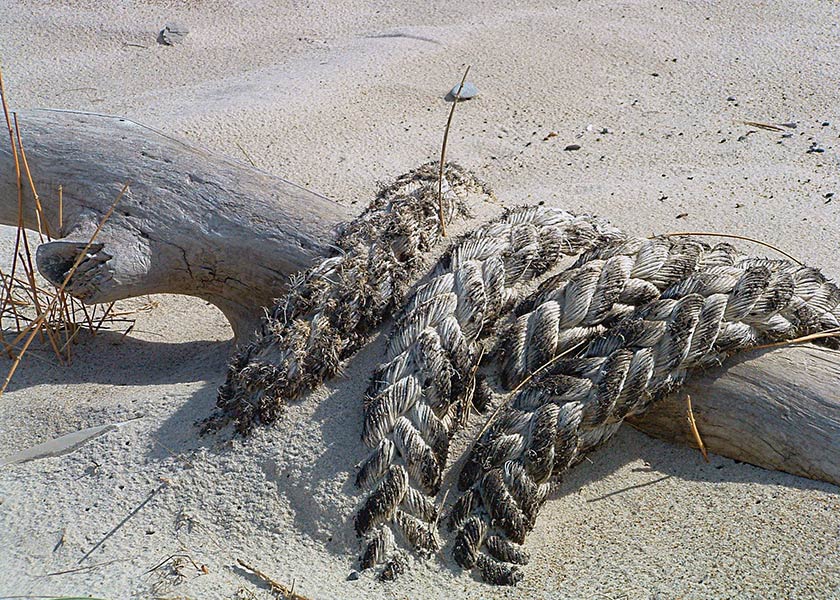 Gammel gren drevet i land på stranden, helt omviklet af et kraftigt tovværk
