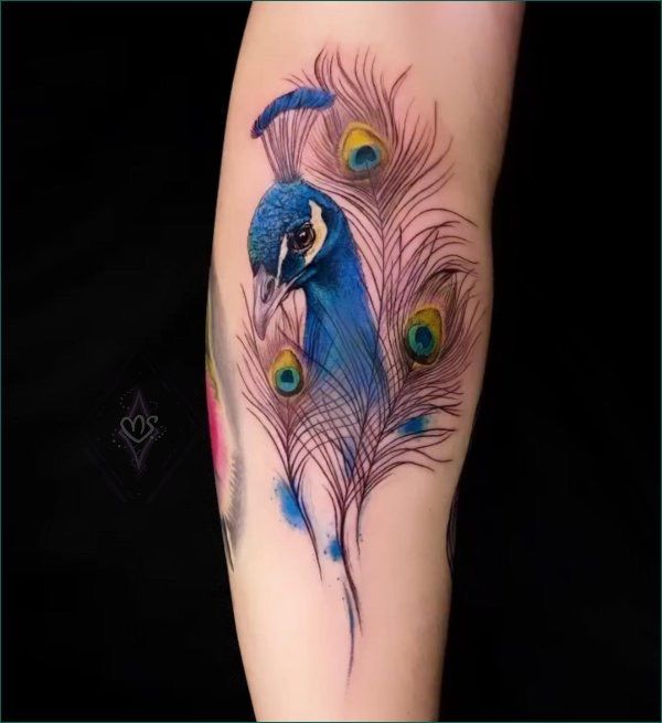 Beautiful Peacock Feather Tattoo on Hand  Tattoo Ink Master