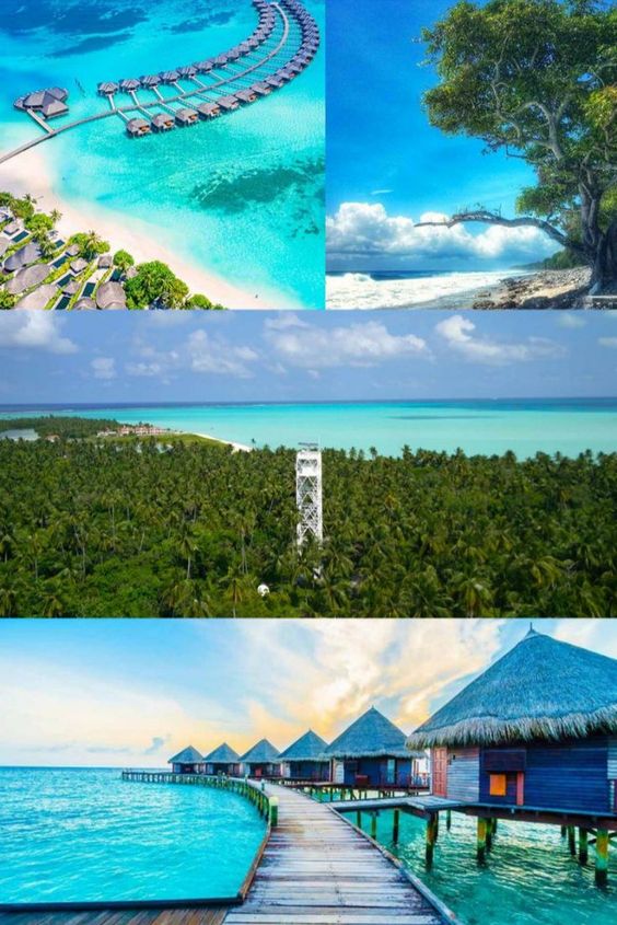 Top Lakshadweep Honeymoon Packages: 12 Places you Need to See - myMandap