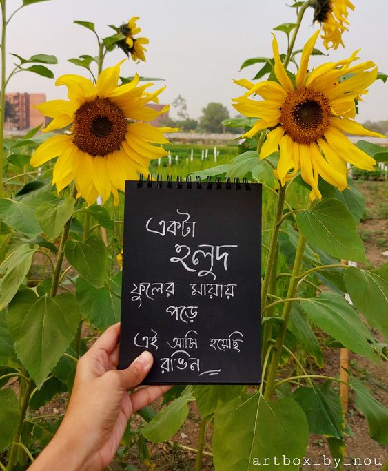 Bengali Caption for Facebook Post Pictures with the Top 60 Ideas