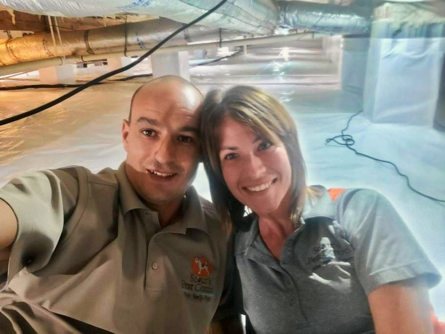 Scouts Pest Control Greenville SC, Pest and Termite Control