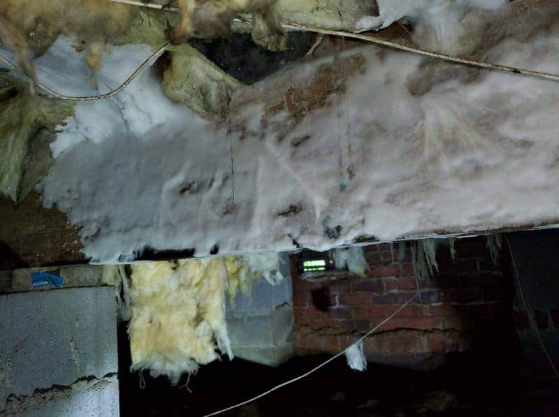 Crawl Space Mold, Rot and Fungus Prevention